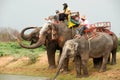 Elephant family happiness with water after Ordination parade on